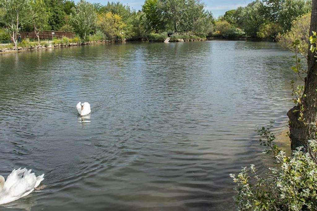 Saint-Saturnin-lès-Avignon La Provencale 아파트 외부 사진